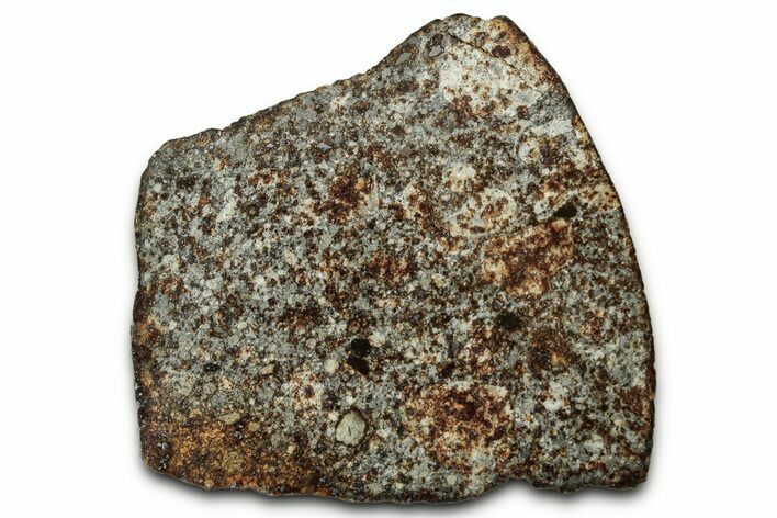 Chondrite Meteorite Section ( g) - NWA #347093